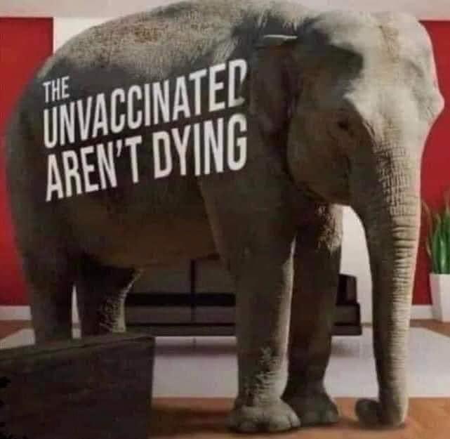 Chris Conner (@chrisco03780737) on Twitter photo 