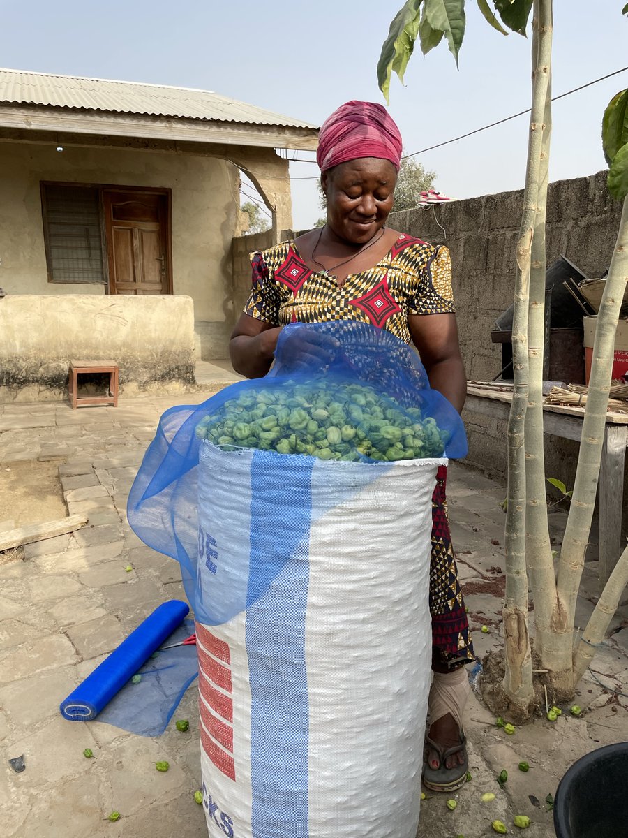 BryanKeithCole1's tweet photo. Appreciative that @USAID’s Administrator Samantha @PowerUSAID praised work in #Ghana thru our @Feedthefuture Innovation Lab for Small-Scale Irrigation to provide #water and alleviate the burden on #womenfarmers!
@IlSSITAMU @CGIAR @txresearch @Agrilife #peacenothunger #foodprize22 https://t.co/vdtexan827