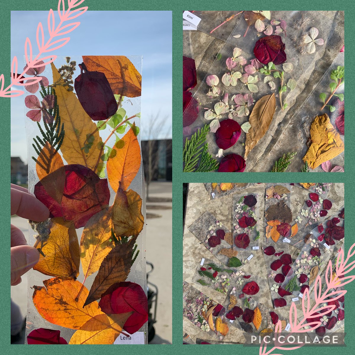 Part of Take Me Outside day included creating nature bookmarks. Thanks to ⁦@amandagjonker⁩ and ⁦<a href="/Krahnskids/">Evelyn Krahn</a>⁩ for an awesome day of outdoor learning 💐#SageCreekLRSD