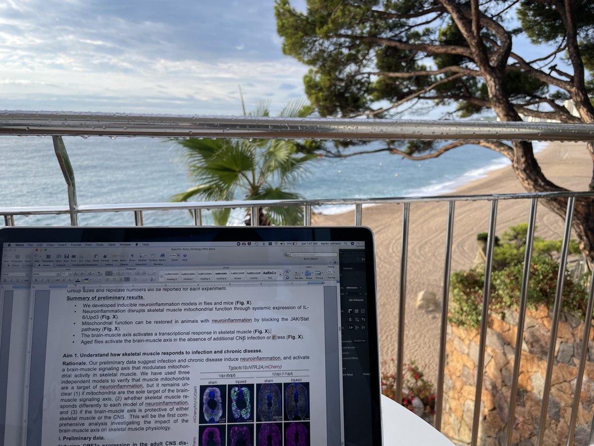 Aaron Johnson tweet media