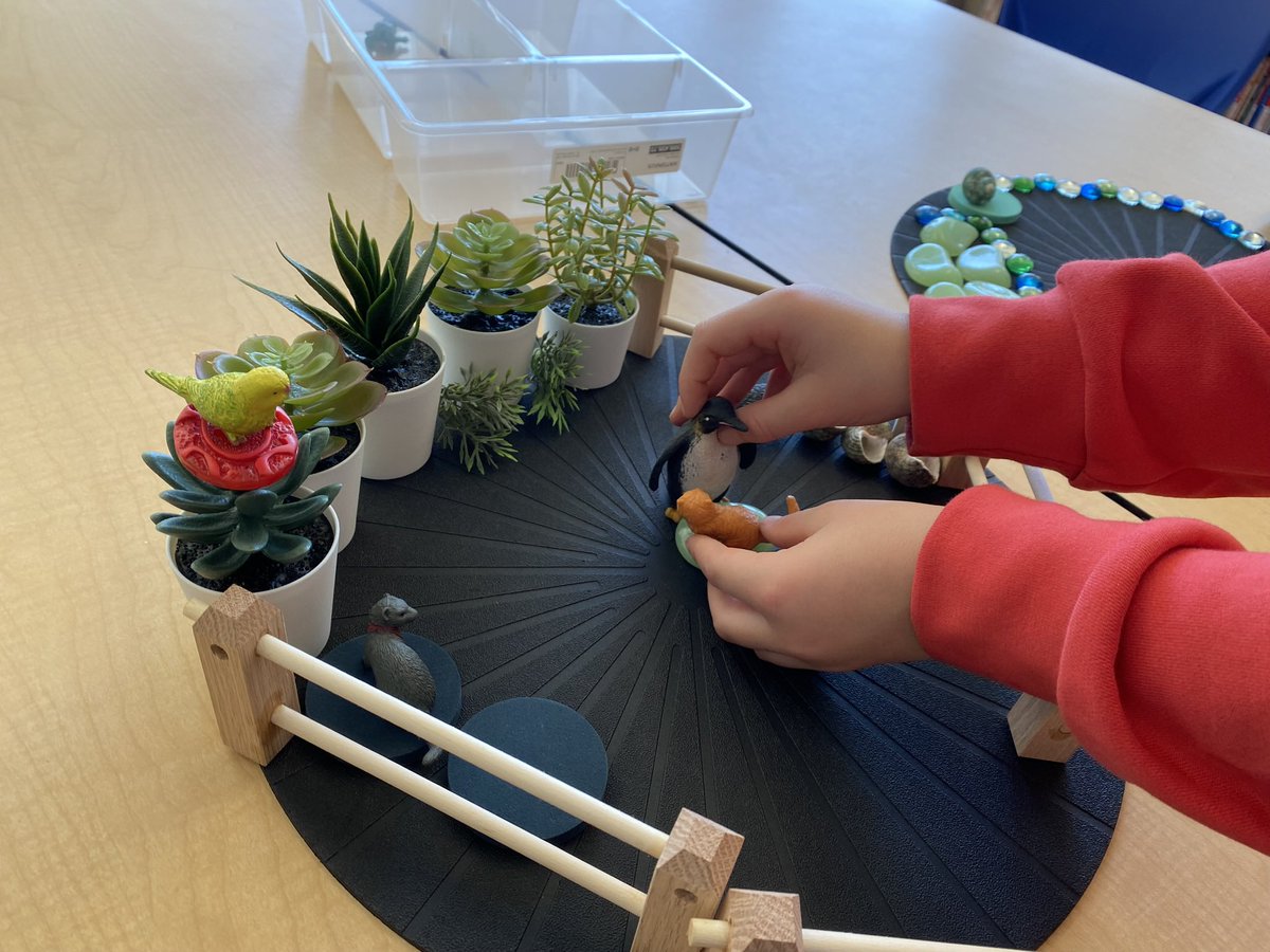 Amy MacLeod tweet media