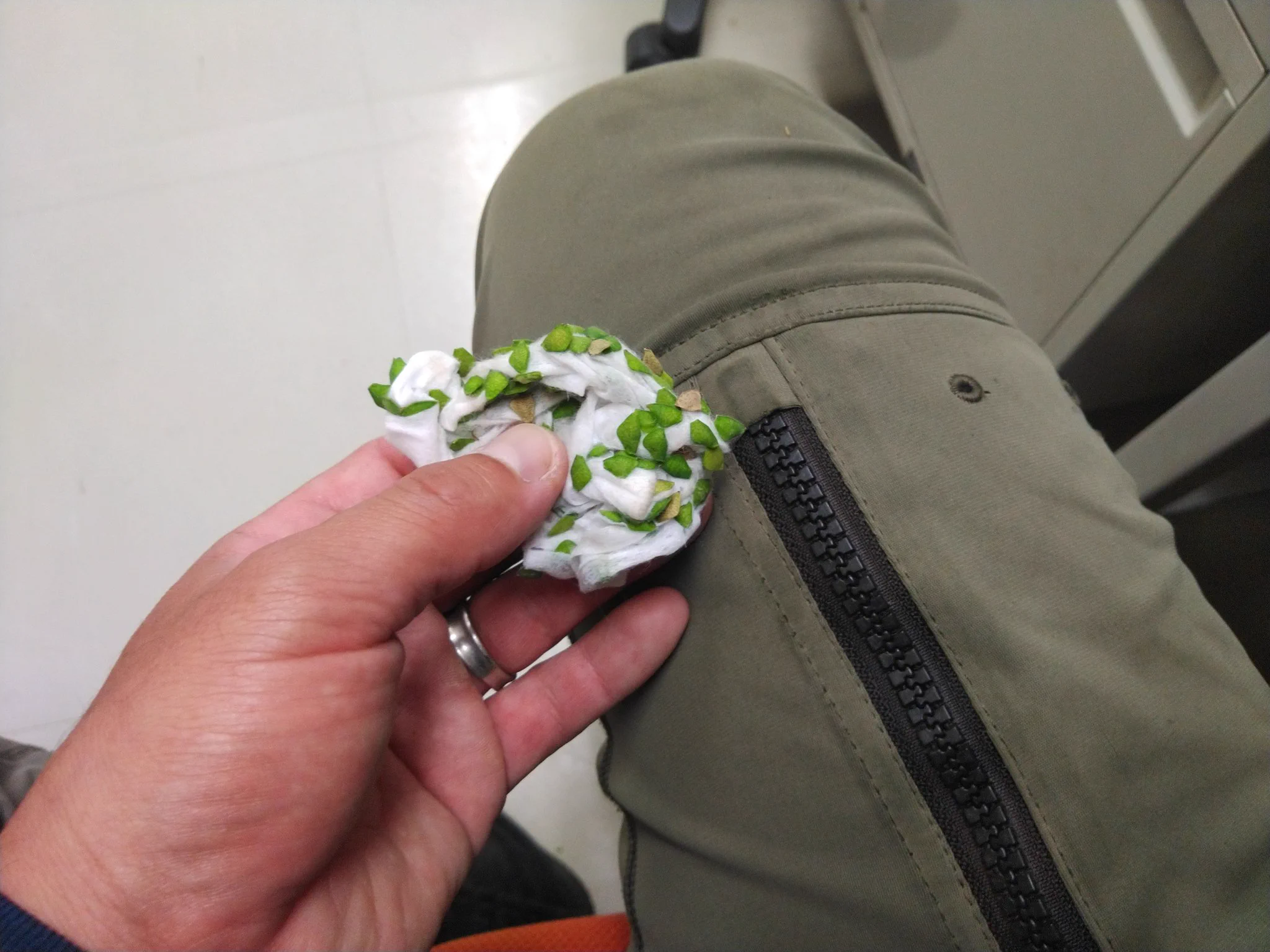 ひっつきむしはウエットティッシュで一網打尽！この時期役立つライフハックをご紹介。