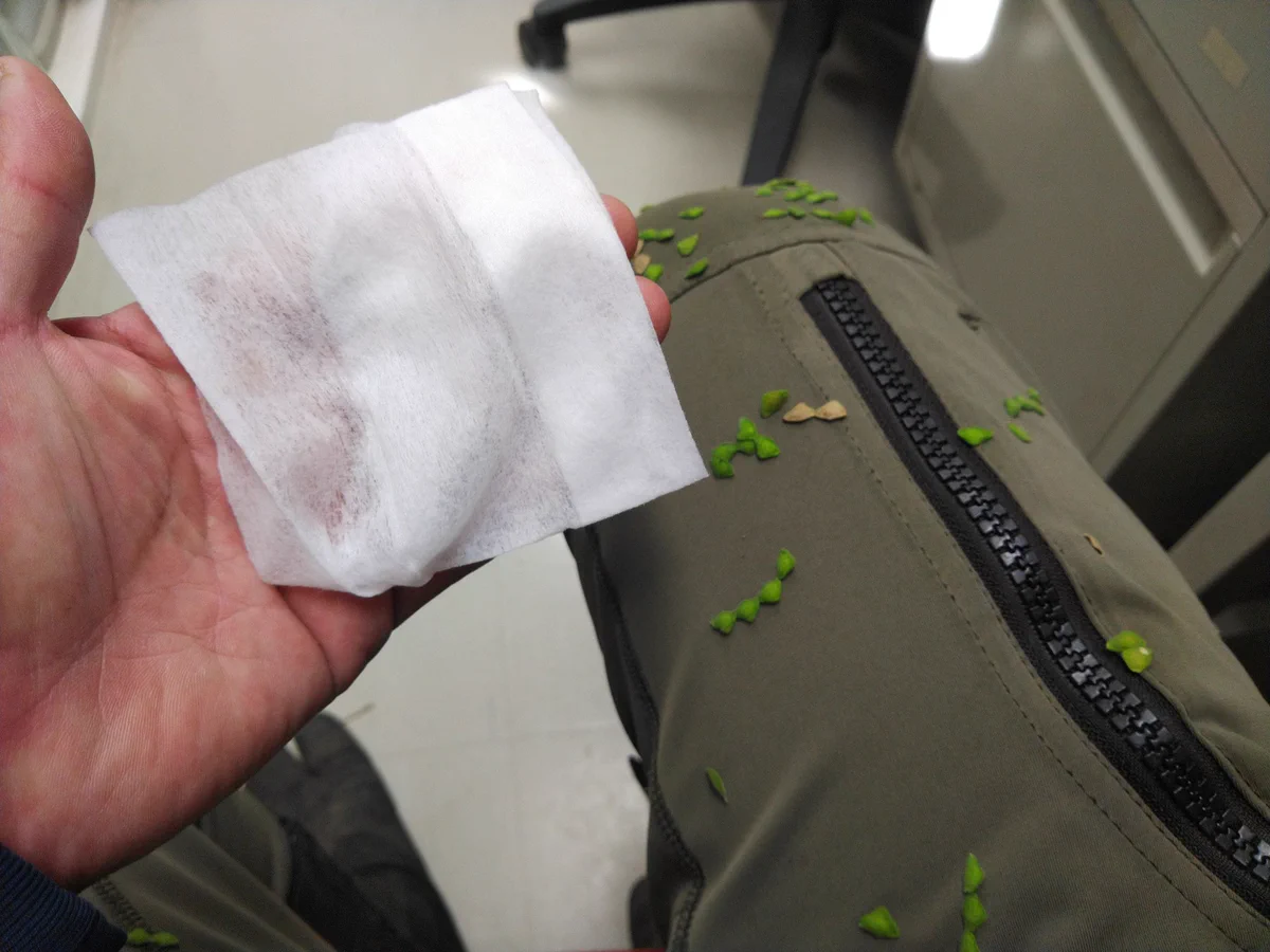 ひっつきむしはウエットティッシュで一網打尽！この時期役立つライフハックをご紹介。
