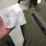 ひっつきむしはウエットティッシュで一網打尽!この時期役立つライフハックをご紹介。