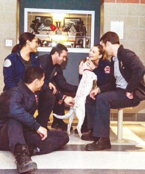 LarissaGreco17's tweet photo. This photo 📸🥺🥺🥺❤️❤️❤️❤️🚒 ..... #ChicagoFire #OneChicago #Chicago #UniversalChannel #NBC #FireHouse51 #Severide #Shay #Gabby #Casey #Mills #TaylorKelly #LaurenGerman #MonicaRaymund #JesseSpencer #CharlieBarnett #FansChicagoFire https://t.co/OzM4i0uGdD