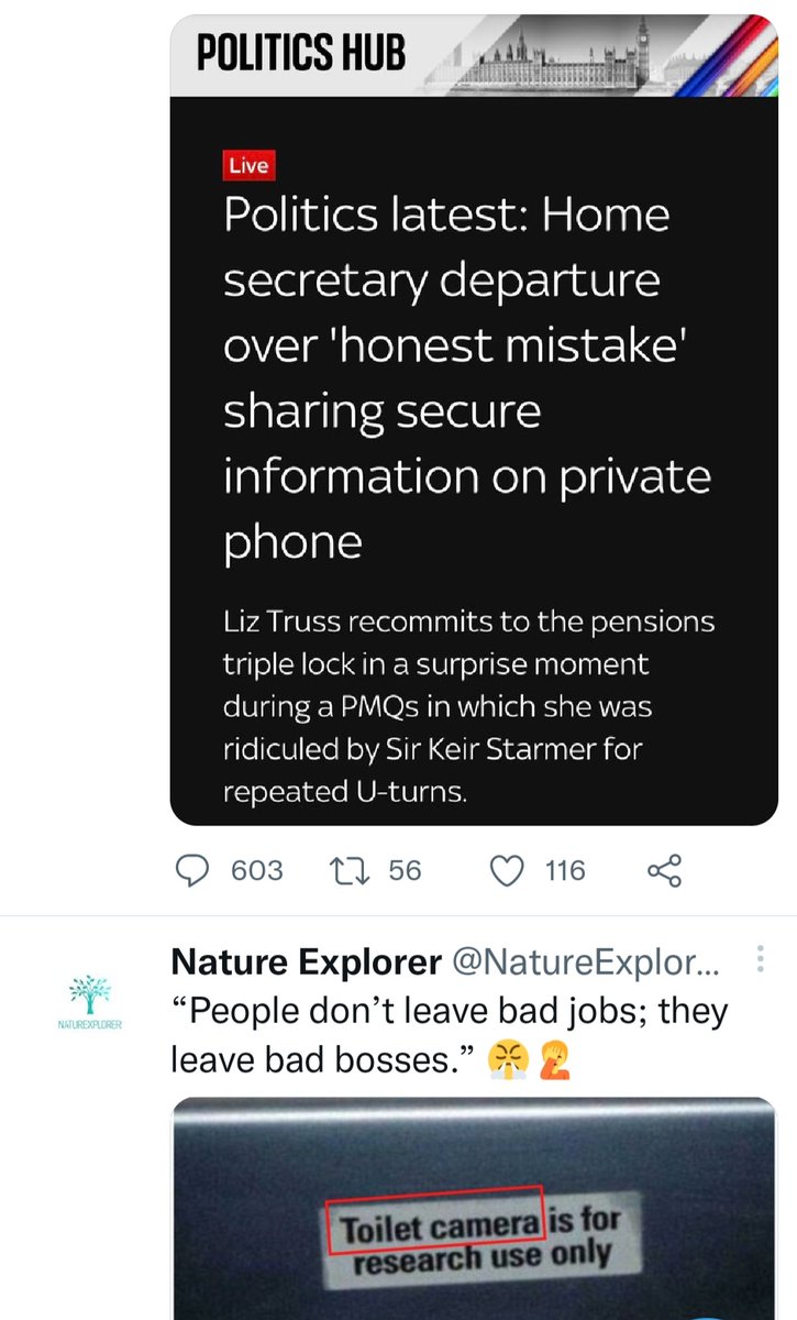 pawwow's tweet image. Think my Twitter feed&apos;s trying to tell me something...

#politicalcomment