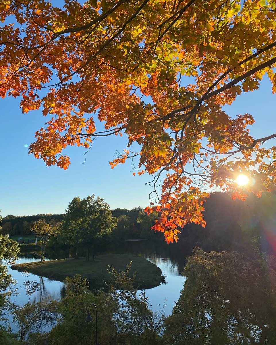 smithcollegessw's tweet photo. Fall is here in Northampton MA and looks like golden leaves, warm sunshine, cold nights and misty mornings. What does fall look like where you are? 🍁

#SmithSSW #FallInNewEngland #SmithCollege #ParadisePond #FallViews #SocialWork https://t.co/TvM2bXqCJ0