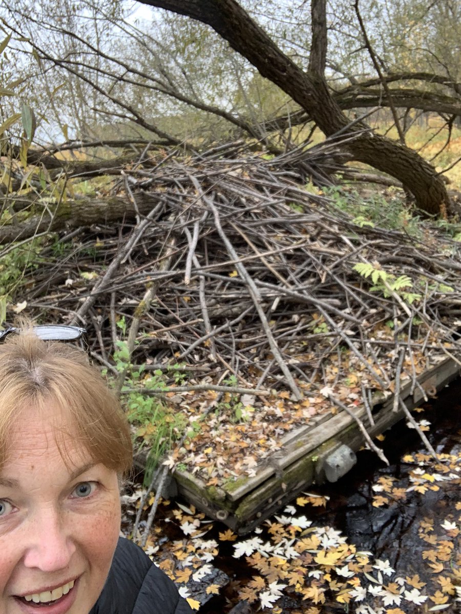 Mary Kirby tweet media