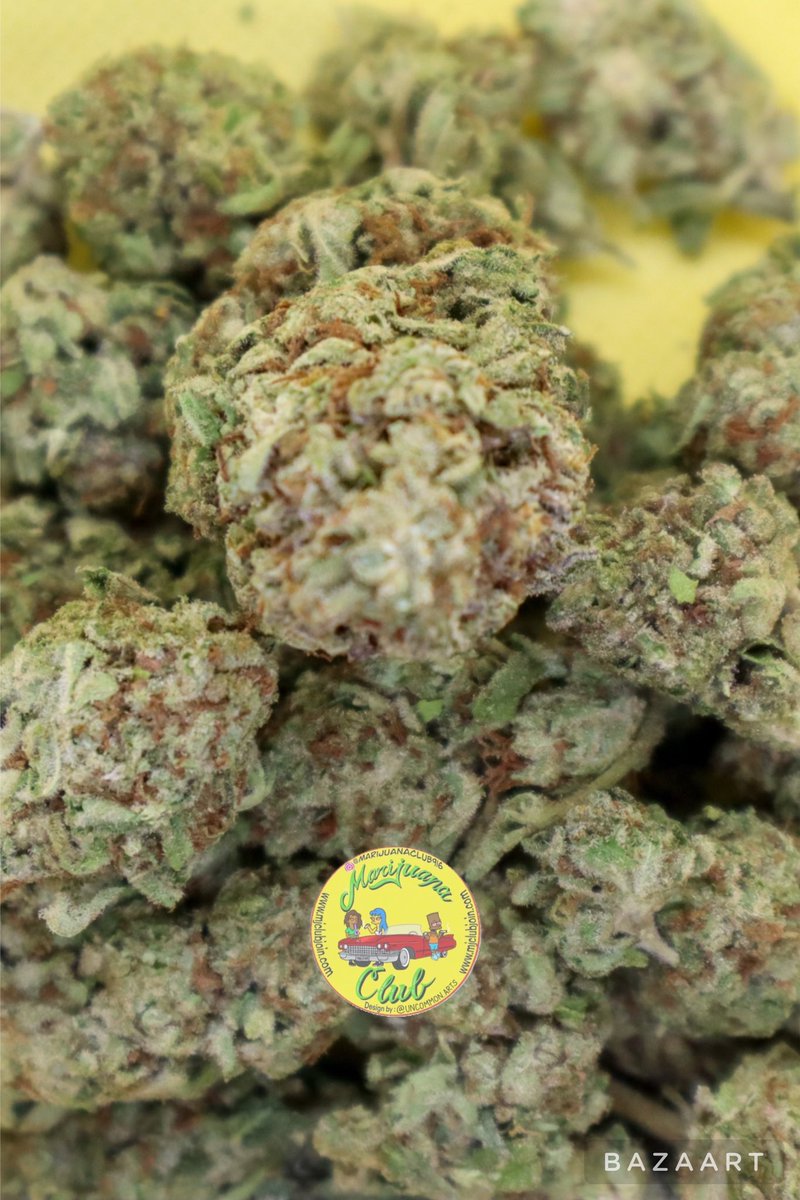 rushgreen15's tweet photo. Follow me on Instagram: @marijuanaclub.916 
Text me: 916-519-9848
Follow me on Twitter: @rushgreen15
Follow my YouTube Page: marijuana club 916
Join Telegram https://t.co/EQFFRJtcvs https://t.co/znWNOmwQiE
