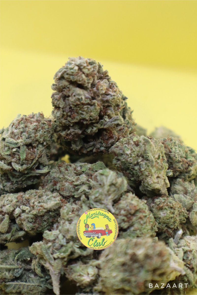 rushgreen15's tweet photo. Follow me on Instagram: @marijuanaclub.916 
Text me: 916-519-9848
Follow me on Twitter: @rushgreen15
Follow my YouTube Page: marijuana club 916
Join Telegram https://t.co/EQFFRJtcvs https://t.co/znWNOmwQiE