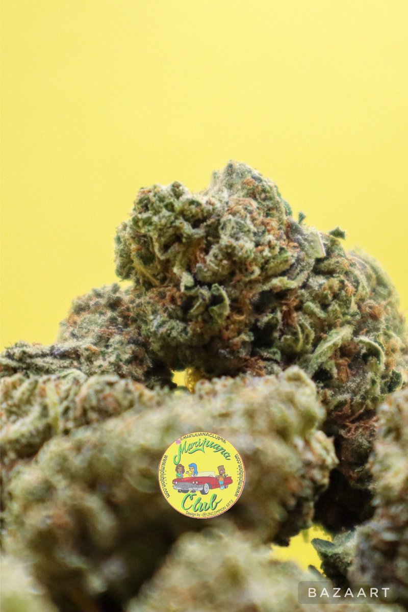 rushgreen15's tweet photo. Follow me on Instagram: @marijuanaclub.916 
Text me: 916-519-9848
Follow me on Twitter: @rushgreen15
Follow my YouTube Page: marijuana club 916
Join Telegram https://t.co/EQFFRJtcvs https://t.co/LAuYfwy9dx
