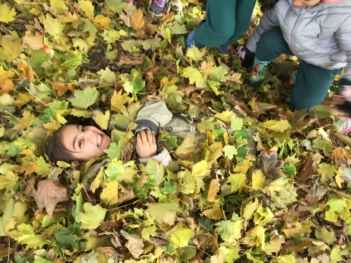 azzahamdi's tweet photo. Some take a bubble bath others a sunbath but today for the #takemeoutside we had a leaf bath🍁🍂⁦@takemeoutside⁩ https://t.co/9UVw4HFjq3