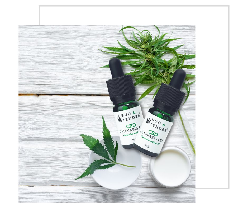 budandtender's tweet photo. Caring with Cannabis, from plant to palate...🌱💚

Supplement with Bud &amp; Tender, maintain your health, bring your body back into balance and #FeelGreatAgain 🙌💚🌿

What are you waiting for?
Buy Now 👉 https://t.co/T6UqFyLNe5 

#CBD #CBDOil #BestCBDOil #PremiumCBDOil #CBDOilUK https://t.co/YQleA9M6YH