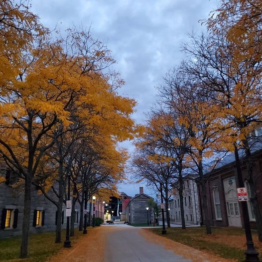 MauraKCurran's tweet photo. Autumn morning at the lab yesterday! https://t.co/tDtLX7LODx