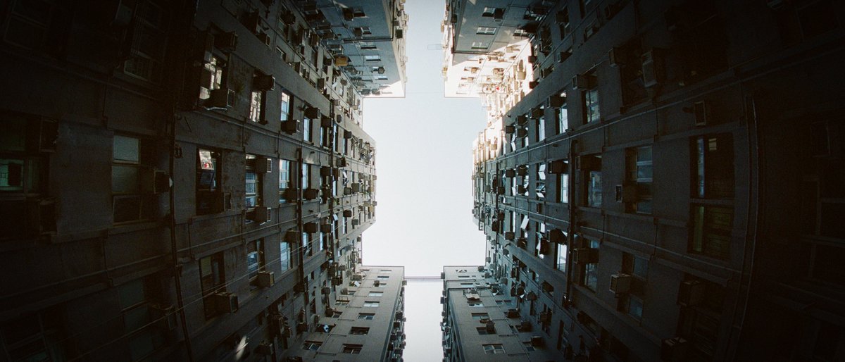 FishMonkeyCow_'s tweet photo. Density https://t.co/Y2UTNkkBpx