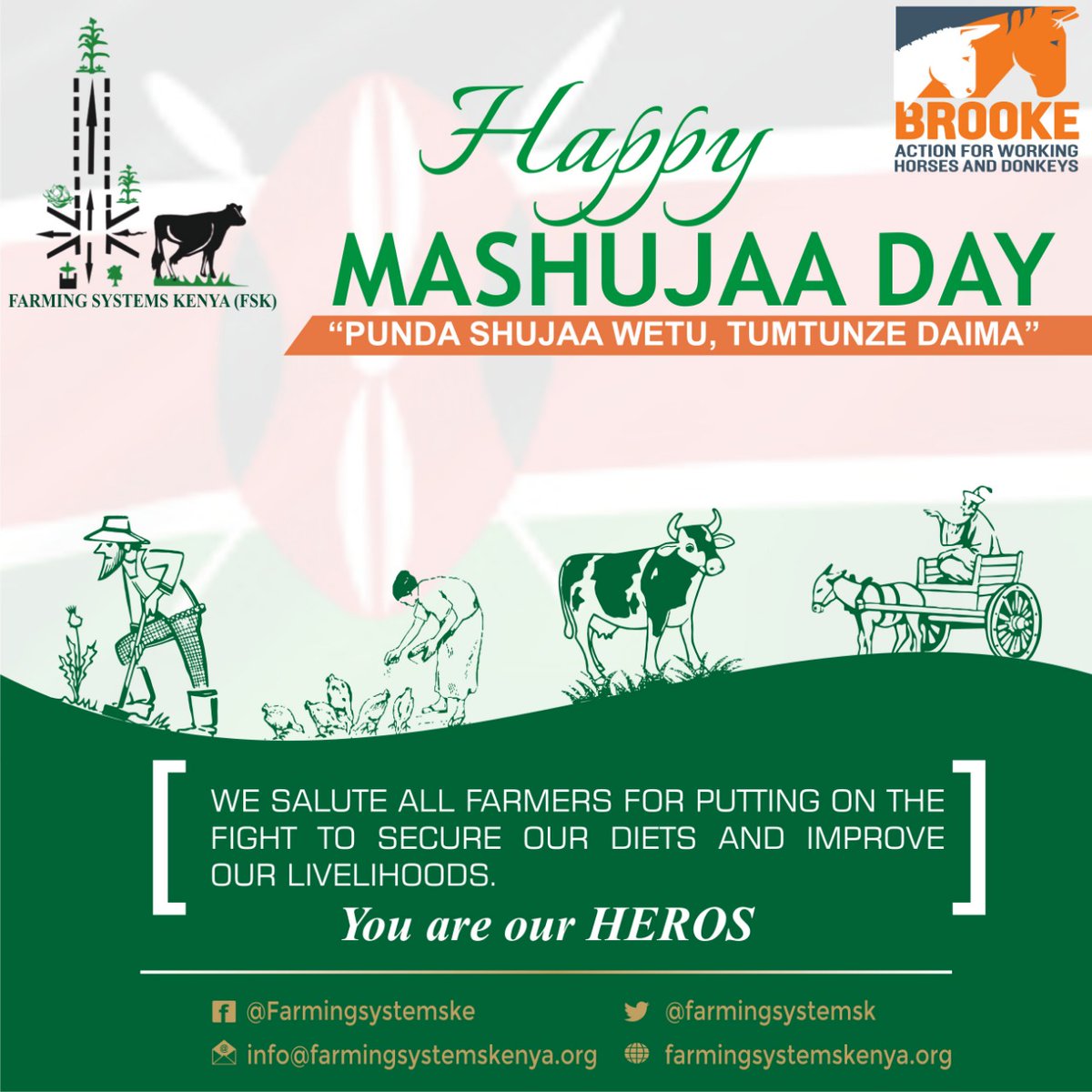 Today ,we are celebrating our heroes and heroines,outstanding kenyans who go above &amp; beyond for their communities;Donkey Owners, Farriers, Donkey Welfare Champions national &amp; county Government all of who have been supportive of donkey welfare initiatives.
Happy mashujaa day!