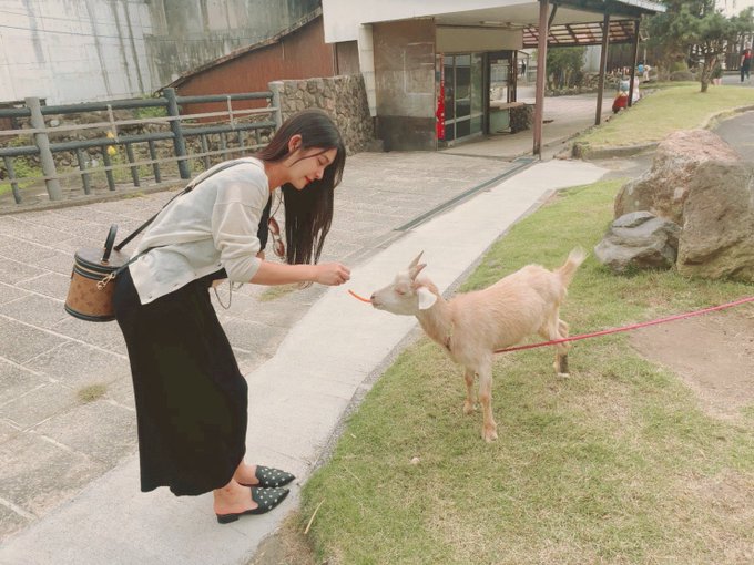 おっぱいに挟んだニンジン奪われる〜〜🐐💨  エッチなヤギさんだこと🐐💕 https://t.co/mmwk9YfAaO