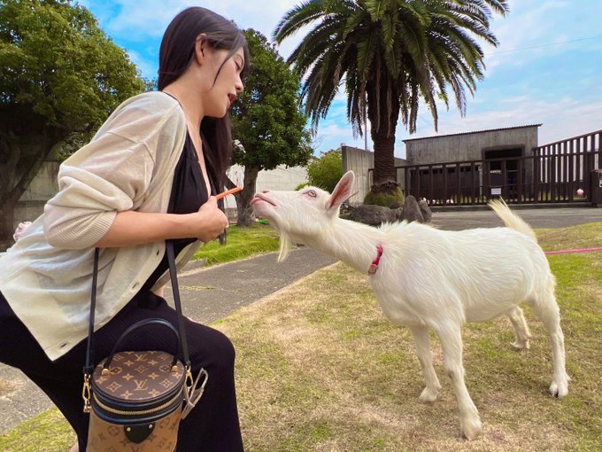 おっぱいに挟んだニンジン奪われる〜〜🐐💨  エッチなヤギさんだこと🐐💕 https://t.co/mmwk9YfAaO