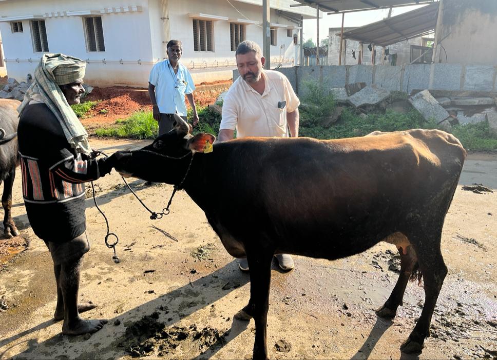 AHVS_Karnataka's tweet photo. ದಿನಾಂಕ:20/10/2022 ರಂದು, ಬೆಂಗಳೂರು ಗ್ರಾಮಾಂತರ ಜಿಲ್ಲೆಯ, ದೊಡ್ಡಬಳ್ಳಾಪುರ ತಾಲೂಕಿನ, ನಾಗದೇನಹಳ್ಳಿ ಗ್ರಾಮದಲ್ಲಿ ಜಾನುವಾರುಗಳಿಗೆ ಚರ್ಮ ಗಂಟು ರೋಗದ ಲಸಿಕೆ ಕಾರ್ಯಕ್ರಮವನ್ನು, ಡಾ. ಗೊ ಮು ನಾಗರಾಜು, ಉಪ ನಿರ್ದೇಶಕರು ರವರ ನೇತೃತ್ವದಲ್ಲಿ ಹಮ್ಮಿಕೊಳ್ಳಲಾಯಿತು.
#Banglorerural #LSDVaccination https://t.co/x9FUVolWRW