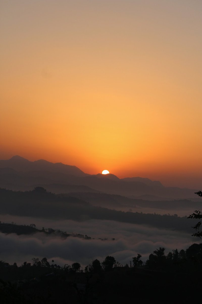 AlltheDeals100's tweet photo. 🌄 Good Morning My Dear Friends 🌄
#nature #NaturePhotograhpy https://t.co/TMoBXrAcNQ