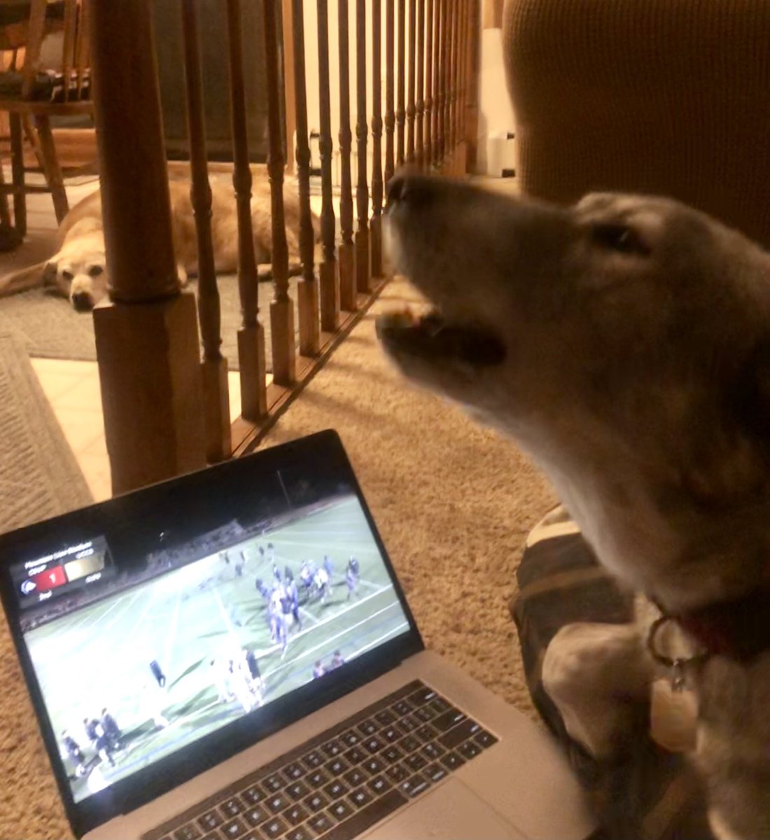 skidog2Tundra's tweet photo. @csupmsoccer Roched their way to a great THUNDERWOLF VICTORY! #TeamTundraPack #MyPackRochs #ThunderwolfVictory https://t.co/wvNjtsPJKF