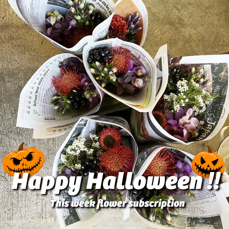 NOONFLOS's tweet photo. 今週の「お花の定期便」はハロウィーンバージョンですっ！#花の定期便 #定期便 #ハロウィーン #ハッピーハロウィーン #横須賀 https://t.co/w7sDnNsW9U