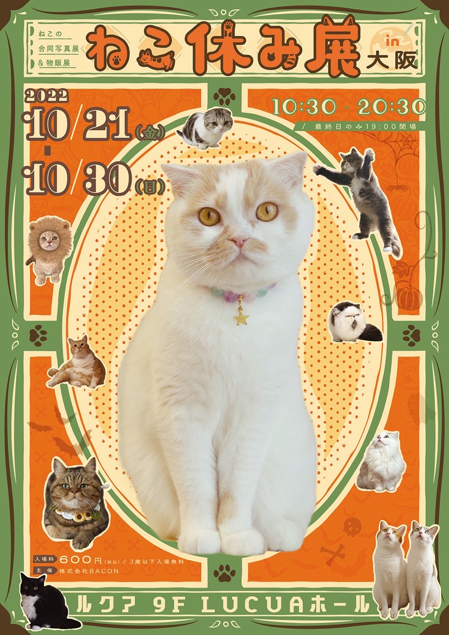 うに ねこ休み展 Unicouniuni3 Twitter