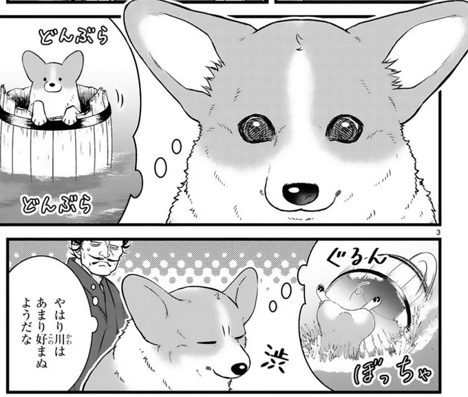 また夜に改めてお知らせしまーす🥳お好きなタイミングで読んでね。  『#殿と犬』