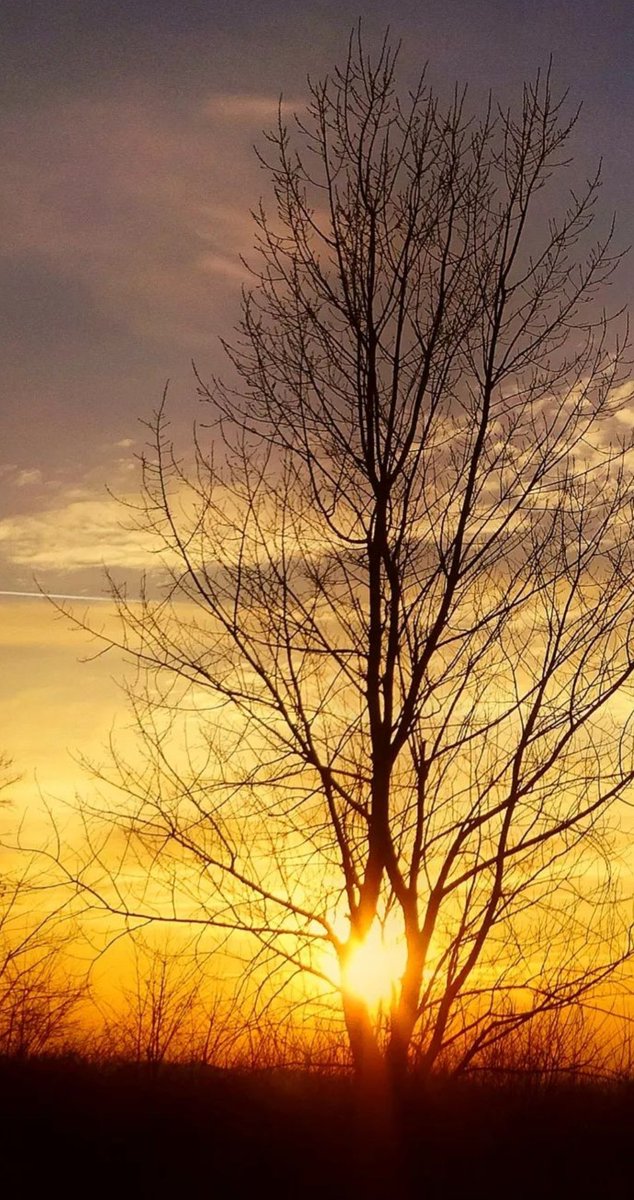 weareoutnc's tweet photo. #skyonfire #sundownphotography #burningsky #goldensunset #magicmoments #sundowns #sunsetporn #agropoli #nature #sunrise_and_sunsets #best_skyshots #auszeit #sunset #naturephotography #travelmore #italianstyle #photography #picsoftheday https://t.co/VHh4td0FsV