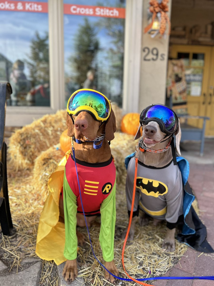 JpForshee's tweet photo. “Holy smokes, Batman!” My dynamic duo creating all the smiles today. https://t.co/WNAdPJDGZC