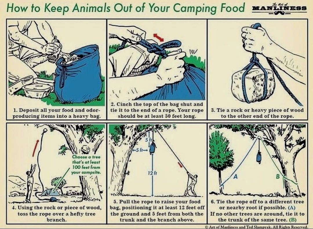 FreeSurvivalPDF's tweet photo. emergency water preparedness
#apocalypse #survival #tornado #bugout https://t.co/fPDMEWMH33
