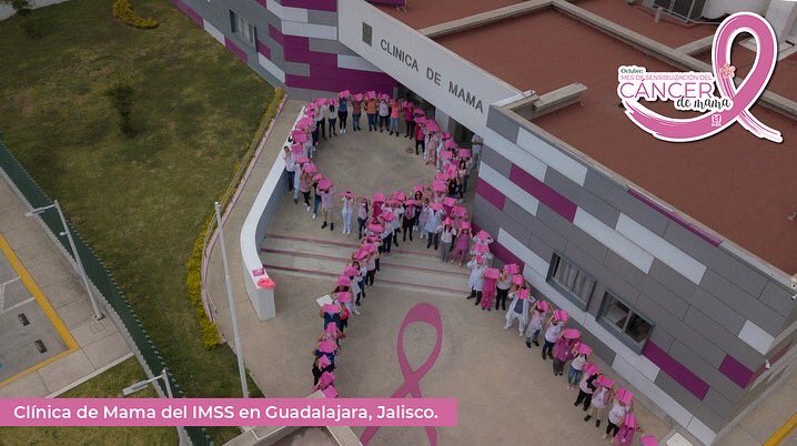 imssjalcontigo's tweet photo. El #IMSSJalisco participó con la formación de lazos rosas para conmemorar el Día Mundial de la Lucha Contra el #CáncerDeMama.

#IMSSenRosa💗 
#OctubreRosa🎀 https://t.co/Iput3KvMnV