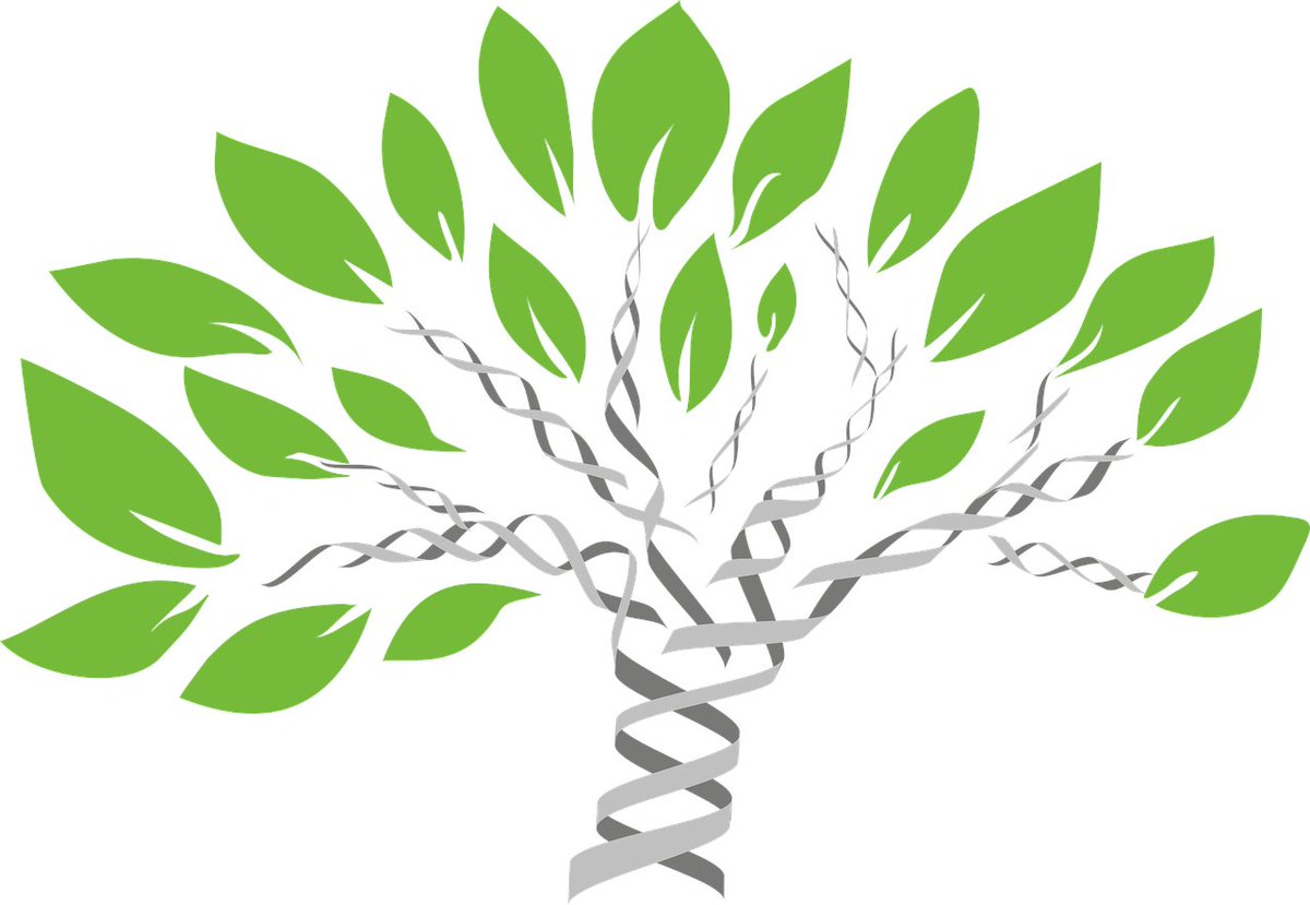 chasewnelson's tweet photo. What's your favorite tool for building a quick-n-dirty NEIGHBOR JOINING TREE? #evolution #bioinformatics
Alignment: 6000 seqs X 8000 bp.
Failed attempts:
— @iluvMEGA #MEGA11 crashes on my Mac
— @Biopython DistanceCalculator fails to finish after 6 hours https://t.co/ybb0rOJvfX