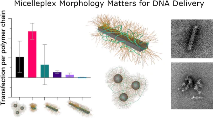 Image from Ian Manners Research Group (@MannersResearch)