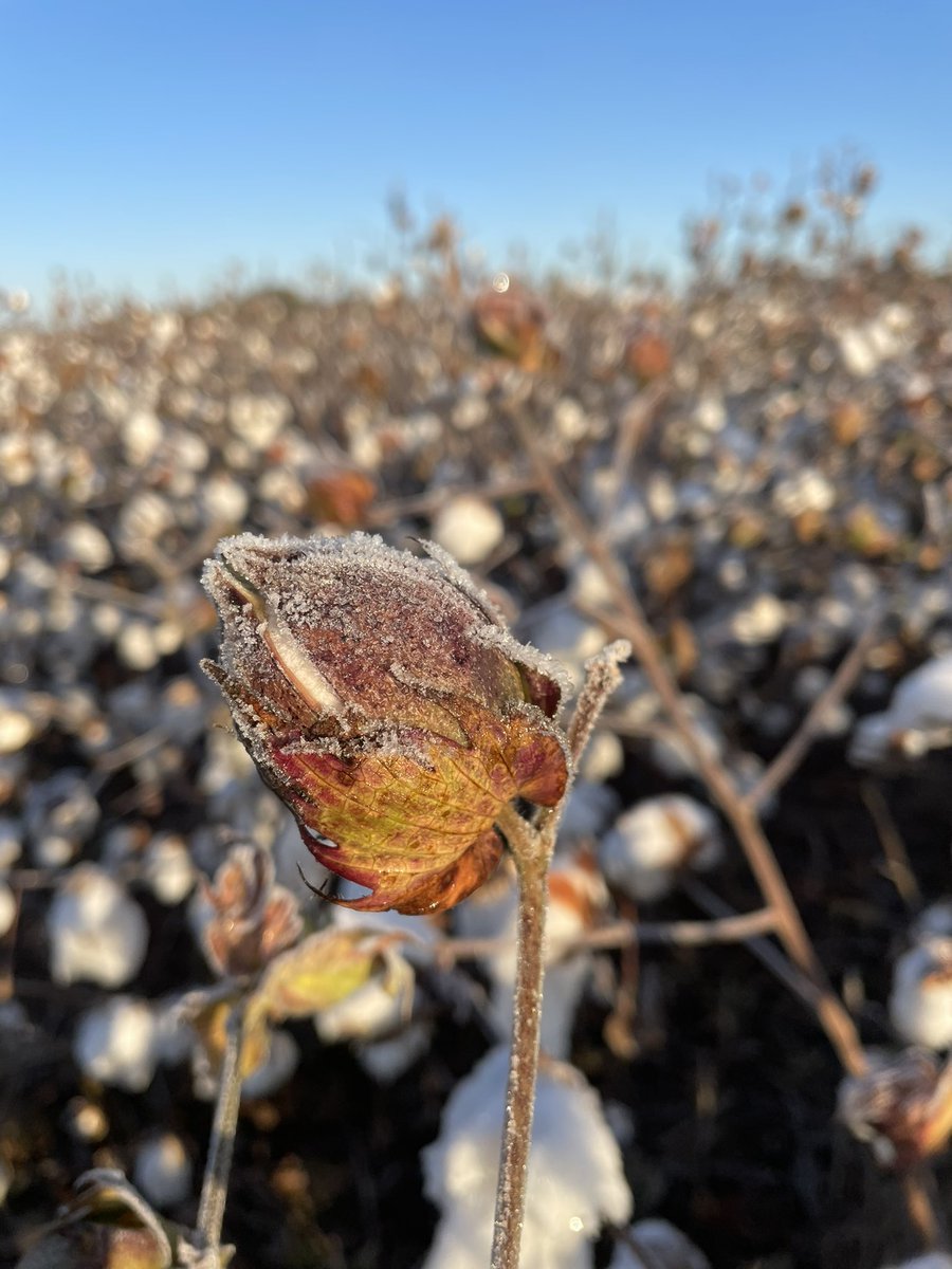 Scott D Stewart tweet media