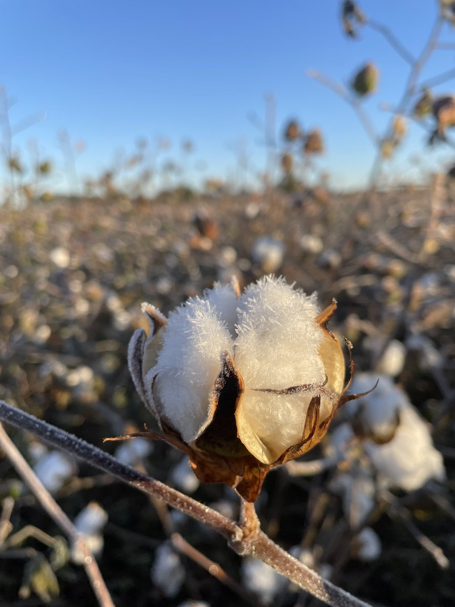 Scott D Stewart tweet media