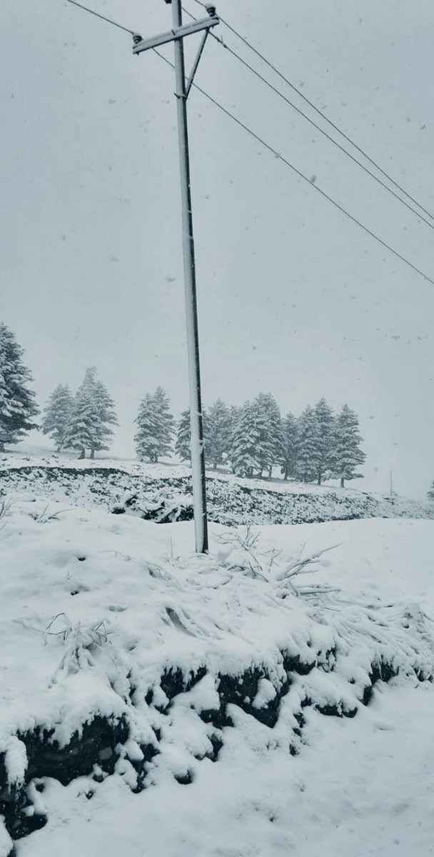 DroraAmish's tweet photo. Season's first snowfall at Sarbal, the last village of Ganderbal district bordering Zojila pass.

Pics and video: by Irfan Raina https://t.co/eiFiXMZJSd