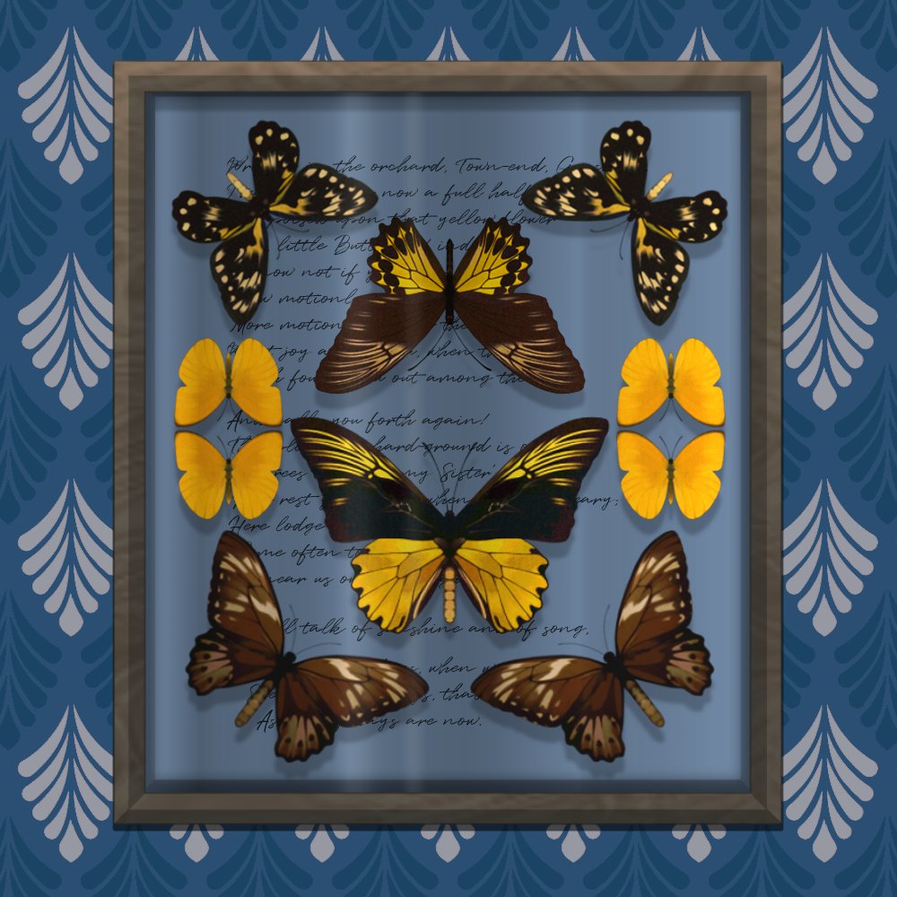 winfreeed's tweet photo. Butterfly &amp; Moth &amp; Scorpion Insect Specimen Collection (35 Brushes)🦋
#brush #butterfly 
There are a total of 35 brushes in the project content, and we made them with sample brushes and flying brushes for ease of use.
@acon3d_global
 👉https://t.co/zV3z9etfjy https://t.co/FlU5dn7ASC