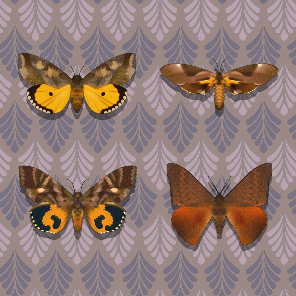 winfreeed's tweet photo. Butterfly &amp; Moth &amp; Scorpion Insect Specimen Collection (35 Brushes)🦋
#brush #butterfly 
There are a total of 35 brushes in the project content, and we made them with sample brushes and flying brushes for ease of use.
@acon3d_global
 👉https://t.co/zV3z9etfjy https://t.co/FlU5dn7ASC
