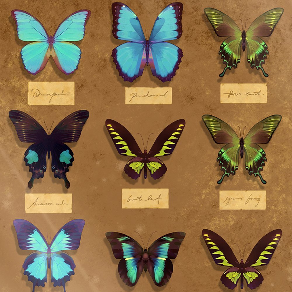 winfreeed's tweet photo. Butterfly &amp; Moth &amp; Scorpion Insect Specimen Collection (35 Brushes)🦋
#brush #butterfly 
There are a total of 35 brushes in the project content, and we made them with sample brushes and flying brushes for ease of use.
@acon3d_global
 👉https://t.co/zV3z9etfjy https://t.co/FlU5dn7ASC