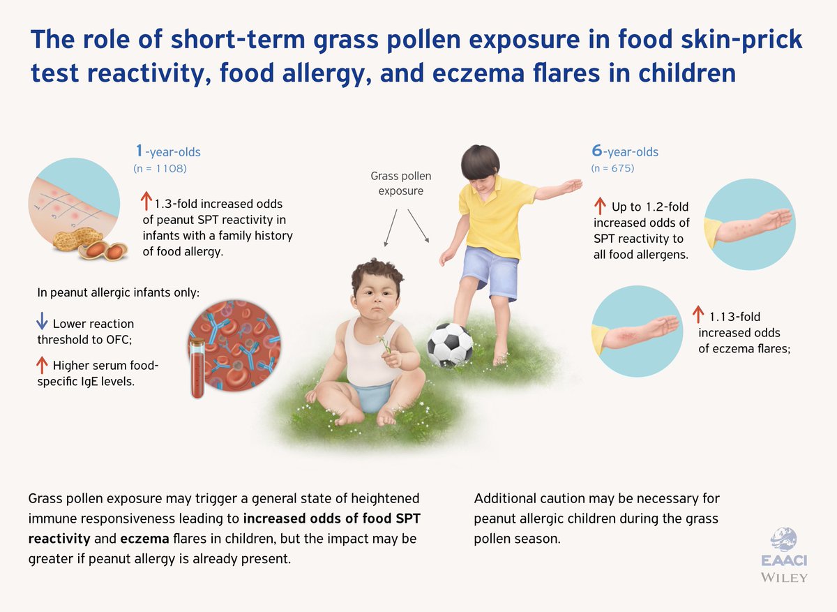 Do you know that grass pollen may trigger non-respiratory allergic disease?🌿🍃 Our recent @pai_eaaci paper based on #HealthNuts reveals the associations between grass pollen, food allergy and eczema in children. 👉bit.ly/3CHaSLD @CRE_CFAR @NACEresearch @unimelbMSPGH