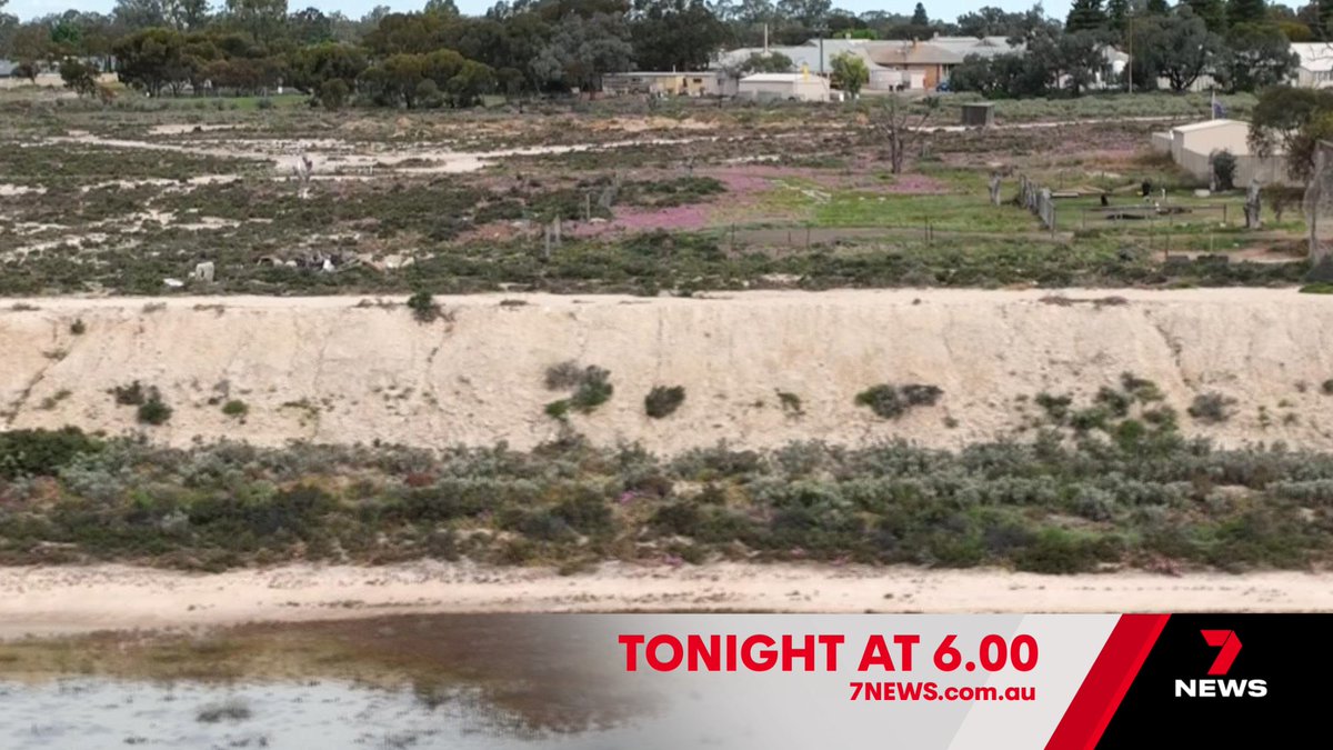 7NEWS Adelaide tweet media