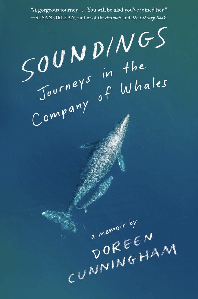 While the pacing of the book didn’t always feel like it had a good flow it really came together in the end for all the feels 💙😭