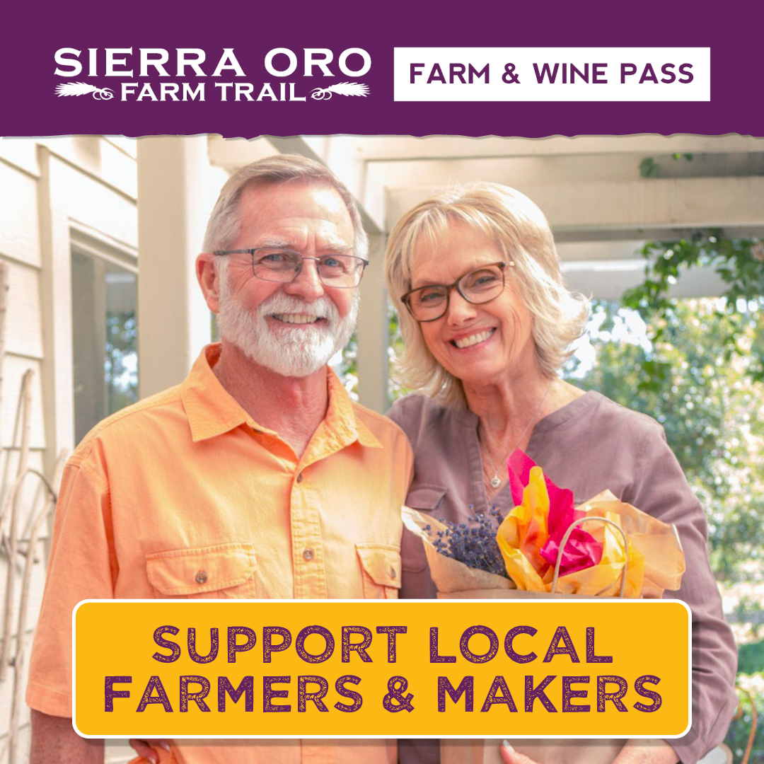 FarmTrail's tweet photo. Only 2 weekends of specials and FREE tastings left! Enter code SAVE10 at checkout for $10 off when you buy your Farm &amp; Wine Pass at https://t.co/OtcxTrRo63 during our flash sale, ending Oct 21. #ExploreButteCounty #TourTasteToast #StillFarming #FarmLife #Harvest https://t.co/uZbyT56dcG