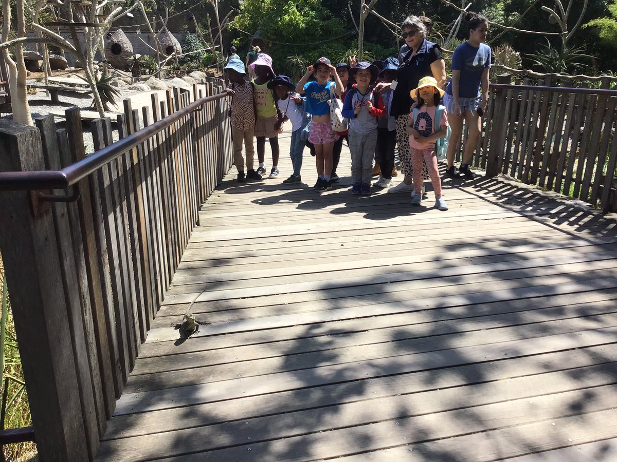 GarveyMrs's tweet photo. We just saw a lizard cross our path #feelinglucky @ZoosVictoria @stpeterssws https://t.co/l3tBiJdMnk