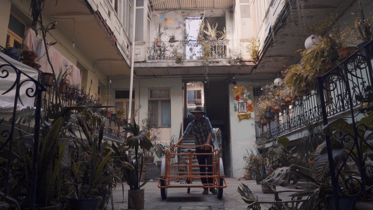 aldeapinwino's tweet photo. 🎬 ¿Cómo es ser desplazado de una de las últimas vecindades de la colonia Juárez? Échale ojo al mini docu #ElTercerSocio que aborda las consecuencias de la #gentrificación y el tsunami inmobiliario en la CDMX:
https://t.co/7Tjj2qjNhU
#RetoDocsMX @DocsMX https://t.co/nMCnOEDaTJ