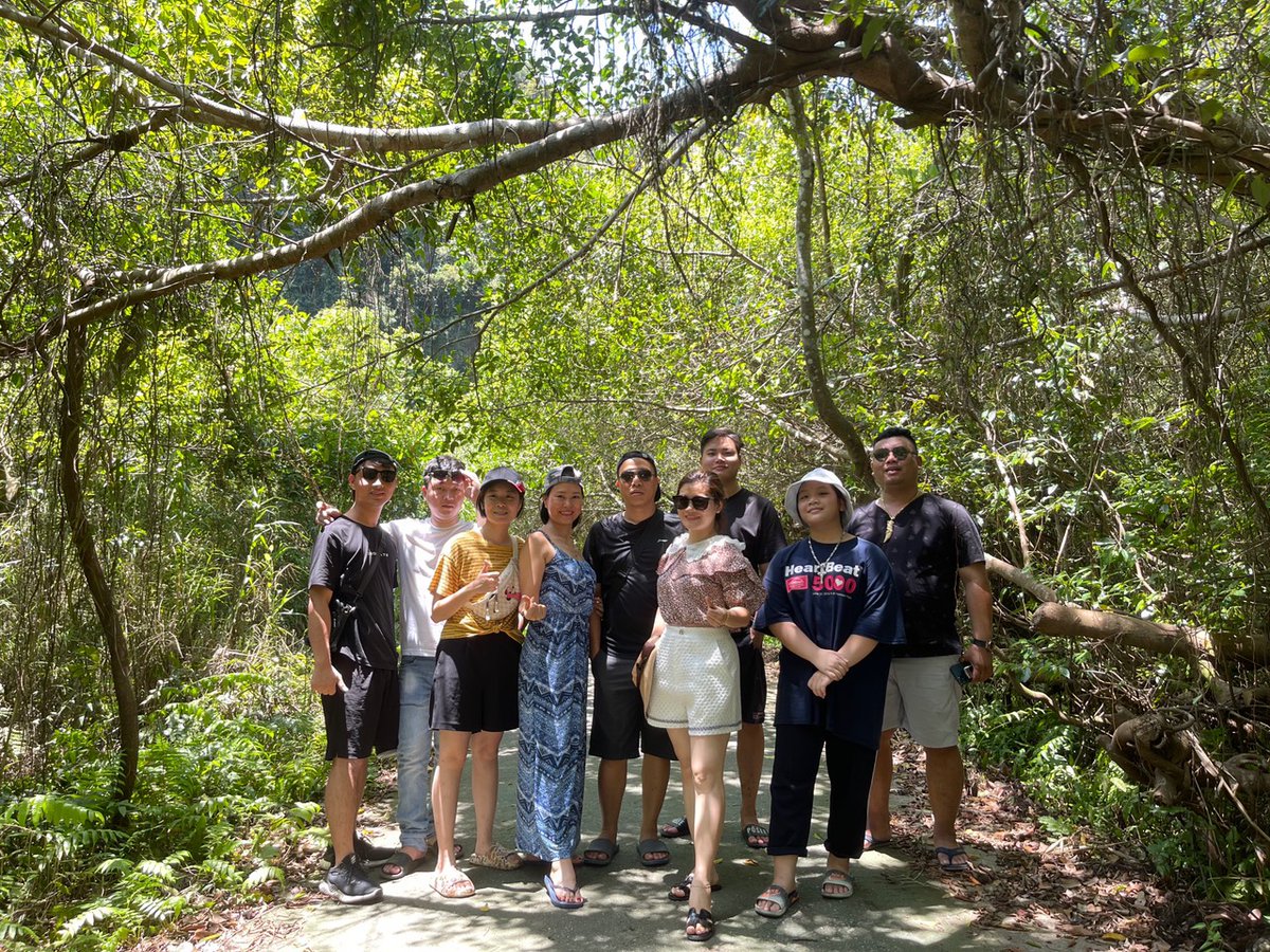catbaexpress's tweet photo. Trekking Cat Ba National Park, Cat Ba, Vietnam.
An activity that you cannot miss in Vietnam
#catba #catbanationalpark #travel #vietnam #photography #travelphotography #catbaexpress https://t.co/azD9XcRHlU
