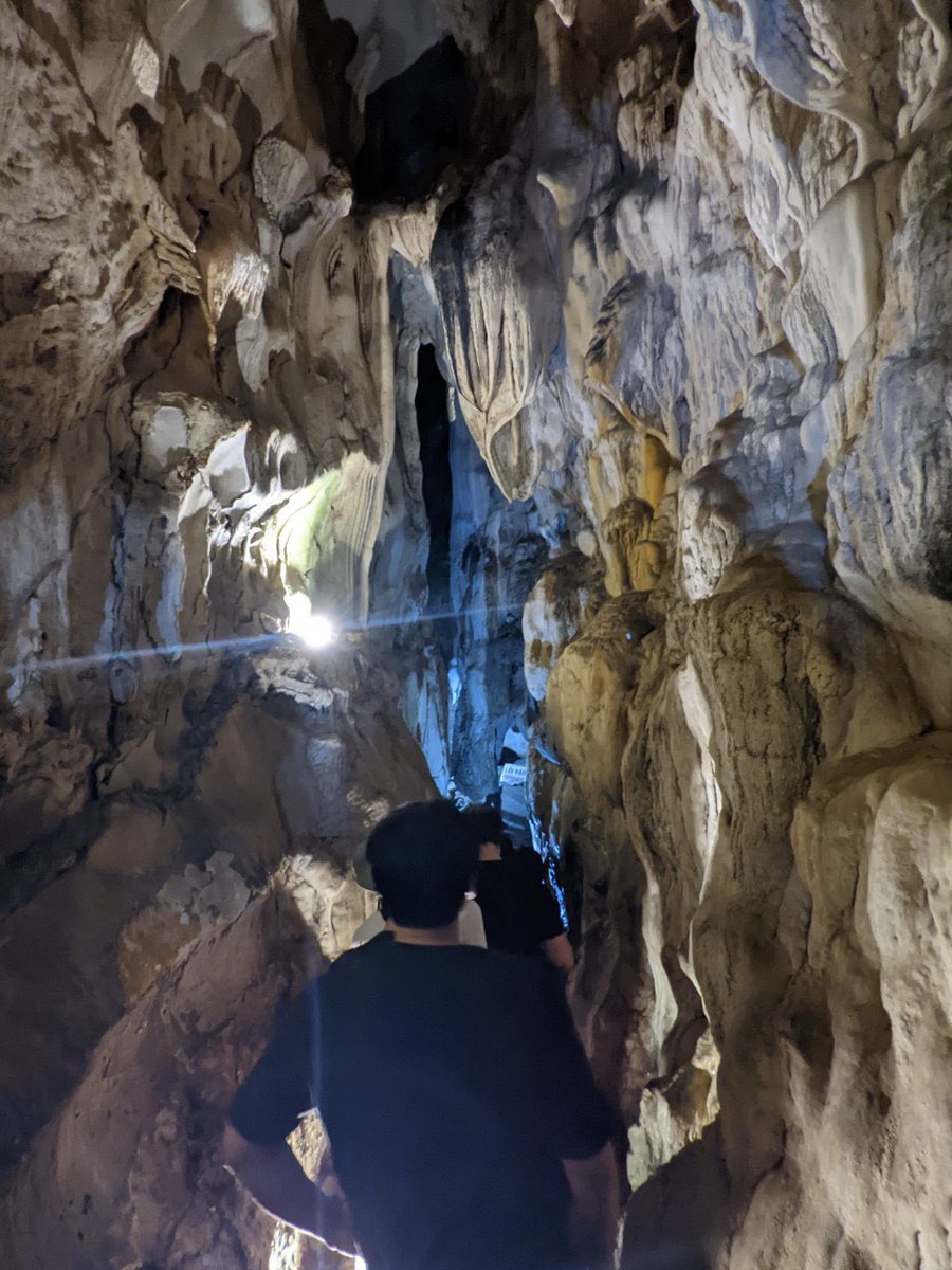 catbaexpress's tweet photo. Trekking Cat Ba National Park, Cat Ba, Vietnam.
An activity that you cannot miss in Vietnam
#catba #catbanationalpark #travel #vietnam #photography #travelphotography #catbaexpress https://t.co/azD9XcRHlU