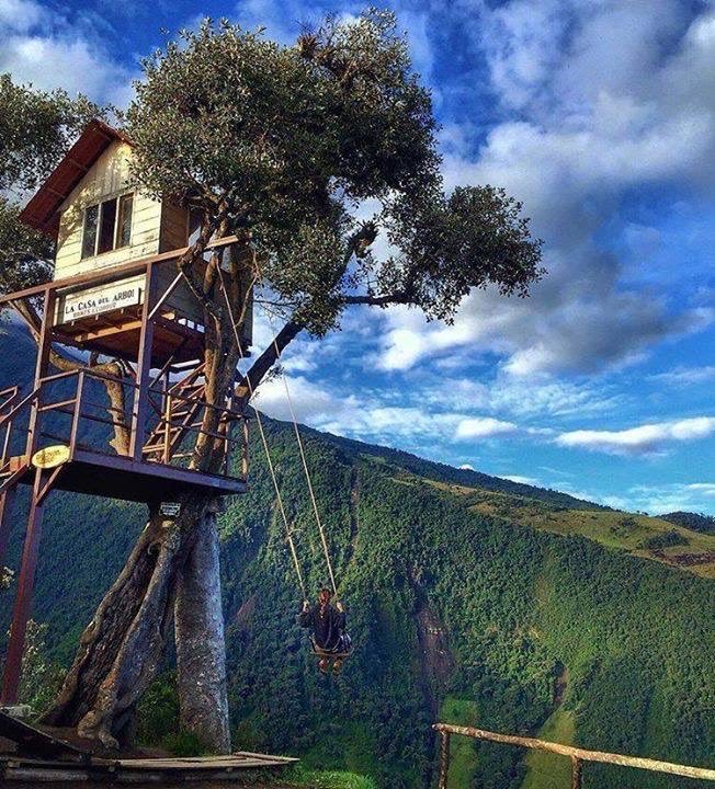 Adriana Pabec tweet media