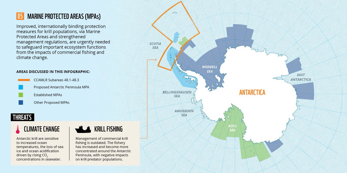 Our new report - Antarctic krill: Powerhouse of the Southern Ocean - highlights the critical role #krill play in the #SouthernOcean and global #carbon cycle. Now more than ever, #CCAMLR must protect krill #Antarctica #BlueCarbon #Climate

👉Read more: wwf.org.au/krillreport